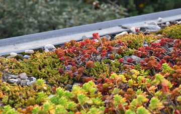the cost of Gospel Ash green roof installation