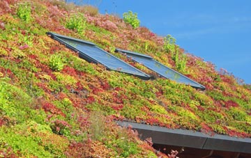 Gospel Ash living roof systems