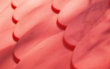 Gospel Ash plastic roof costs